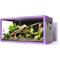 Show in main carousel: REPTI ZOO Light Weight Enclosure Reptile Terrarium, Purple, 40-gal: 36 x 18 x 18-in slide 1 of 9