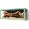 Show in main carousel: REPTI ZOO Light Weight Enclosure Reptile Terrarium, Green, 64-gal: 48 x 18 x 18-in slide 1 of 9