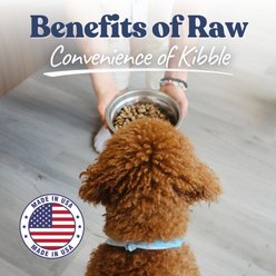 Healthybud Lamb & Salmon Bites Freeze-Dried Raw Dog Food Kibble-Style, 14-oz bag slide 2 of 8