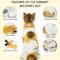 Show in main carousel: NANAKI Cat Surgery Recovery Suit, Yellow, Small slide 5 of 10