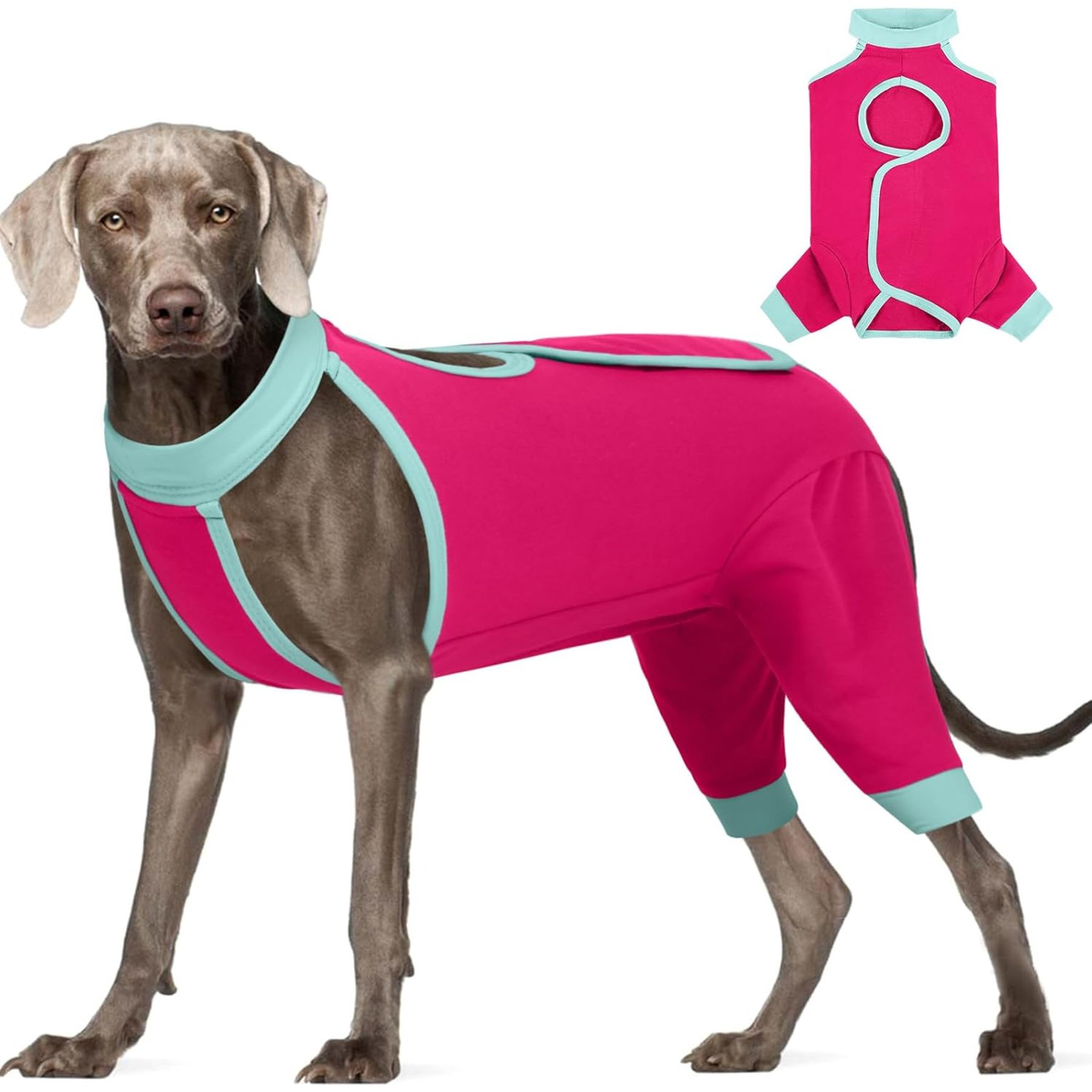 NANAKI Surgery Recovery Rear Leg Sleeve for Dogs, RoseRed, XX-Large