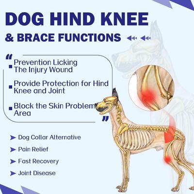 Show full view: NANAKI Hind Legs Dog Recovery Sleeve, Blue, Large slide 8 of 11