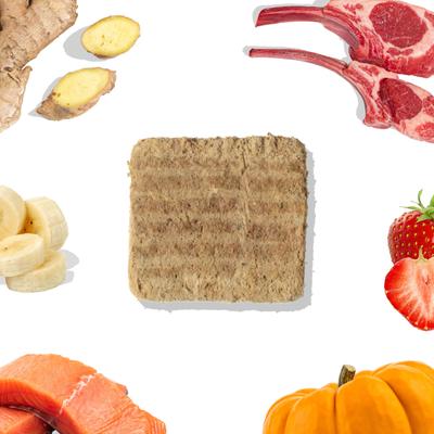 Show full view: Healthybud Lamb & Salmon Patties Freeze-Dried Raw Dog Food Rehydratable Square Meals, 14-oz bag slide 3 of 10