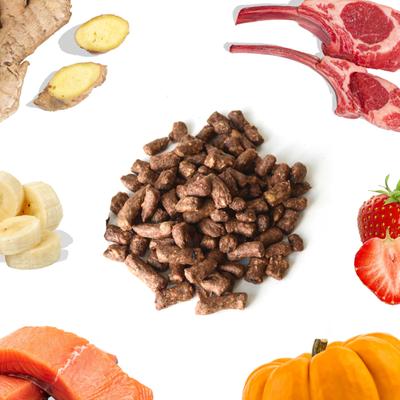 Show full view: Healthybud Lamb & Salmon Bites Freeze-Dried Raw Dog Food Kibble-Style, 14-oz bag slide 3 of 10