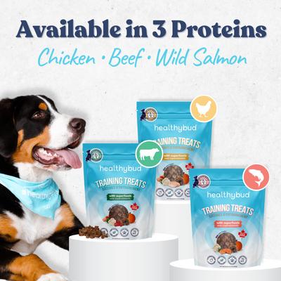 Show full view: Healthybud Beef Soft & Chewy Low-Calorie Dog Training Treats, 6.5-oz bag slide 9 of 11