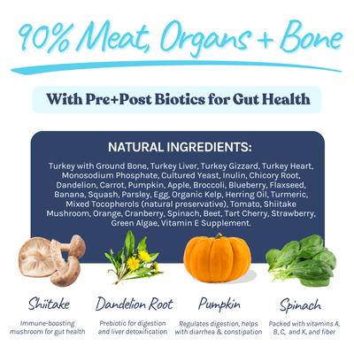 Show full view: Healthybud Turkey Meal Bites Freeze-Dried Dog Food, 14-oz bag slide 5 of 9