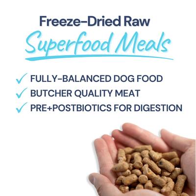 Show full view: Healthybud Turkey Meal Bites Freeze-Dried Dog Food, 14-oz bag slide 7 of 9