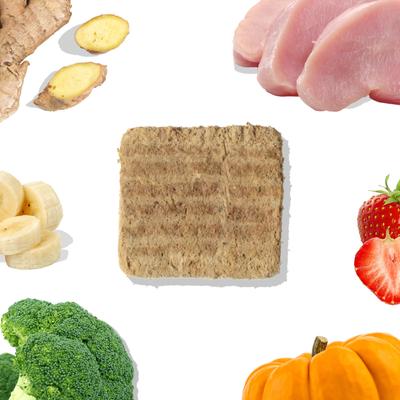 Show full view: Healthybud Turkey Patties Freeze-Dried Raw Dog Food Rehydratable Square Meals, 14-oz bag slide 3 of 11