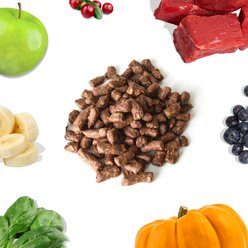 Healthybud Beef Bites Freeze-Dried Raw Dog Food Kibble-Style, 14-oz bag slide 2 of 8