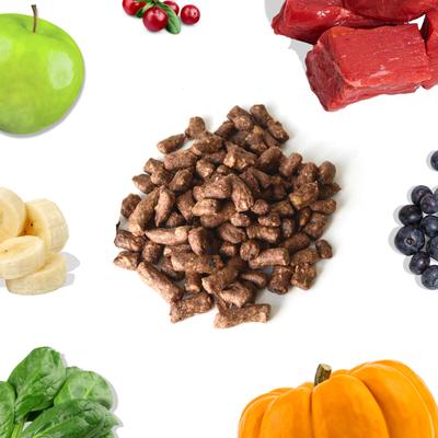 Show full view: Healthybud Beef Bites Freeze-Dried Raw Dog Food Kibble-Style, 14-oz bag slide 3 of 10