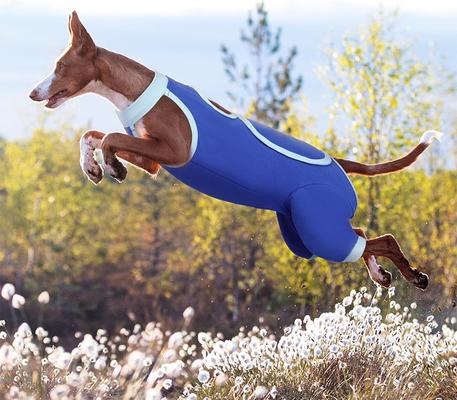 Show full view: NANAKI Hind Legs Dog Recovery Sleeve, Blue, Large slide 7 of 11