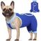Show in main carousel: NANAKI Hind Legs Dog Recovery Sleeve, Blue, Medium slide 1 of 11