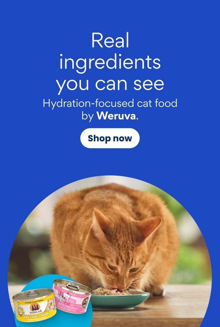 Real ingredients you can see Hydration-focused cat food by Weruva Shop now