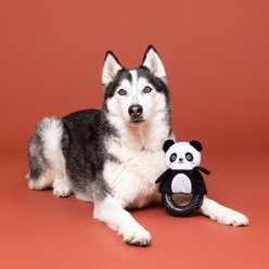 Fringe Studio Stu-Pandaous TPR Plush Dog Toy slide 2 of 4