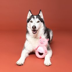 Fringe Studio Get Piggy with It TPR Plush Dog Toy slide 2 of 4