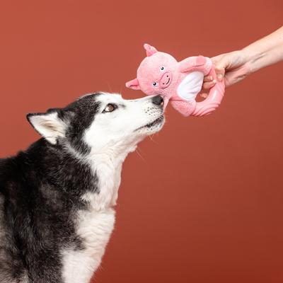 Show full view: Fringe Studio Get Piggy with It TPR Plush Dog Toy slide 4 of 5