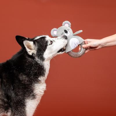 Show full view: Fringe Studio Koal-Ity Vibes Only TPR Plush Dog Toy slide 5 of 6