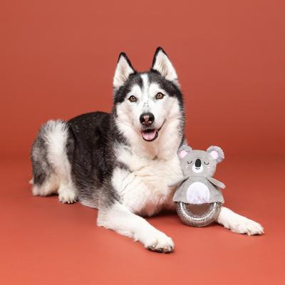 Show full view: Fringe Studio Koal-Ity Vibes Only TPR Plush Dog Toy slide 4 of 6