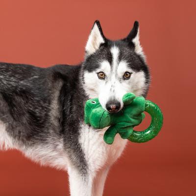 Show full view: Fringe Studio Unleash The Dino TPR Plush Dog Toy slide 4 of 6