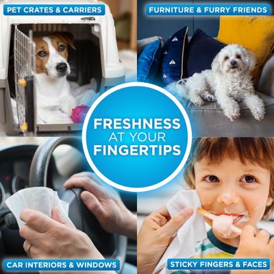 Show full view: POOPH Pet Odor Eliminating Wipes, 50 count slide 9 of 11