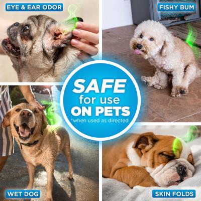 Show full view: POOPH Cat & Dog Odor & Stain Eliminator, 32-fl oz bottle slide 8 of 12