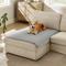 Show in main carousel: Bedsure Waterproof Couch Cover Dog & Cat Blanket, Titanium Grey, Large slide 8 of 11