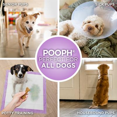 Show full view: POOPH Unscented Dog Potty Pads, 24 x 24-in, 50 count slide 8 of 9