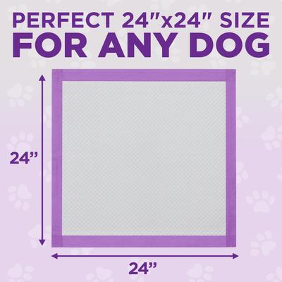 Show full view: POOPH Unscented Dog Potty Pads, 24 x 24-in, 50 count slide 5 of 9
