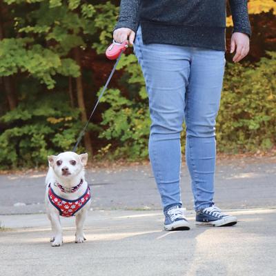 Show full view: Power Walker Retractable Dog Leash, Red, 16-ft long, 1/2-in wide, Large slide 6 of 9