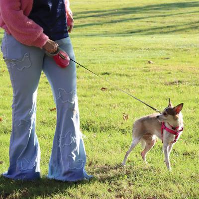 Show full view: Power Walker Retractable Dog Leash, Pink, 16-ft long, 1/2-in wide, Large slide 5 of 10