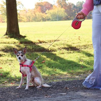Show full view: Power Walker Retractable Dog Leash, Pink, 16-ft long, 1/2-in wide, Large slide 3 of 10