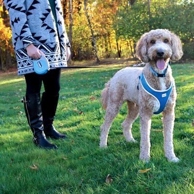 Show full view: Power Walker Retractable Dog Leash, Blue, 16-ft long, 1/2-in wide, Large slide 4 of 9