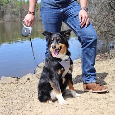 Show full view: Power Walker Retractable Dog Leash, Black, 12-ft long, 5/16-in wide, X-Small slide 2 of 9