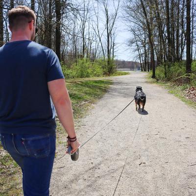 Show full view: Power Walker Retractable Dog Leash, Black, 12-ft long, 5/16-in wide, X-Small slide 3 of 9