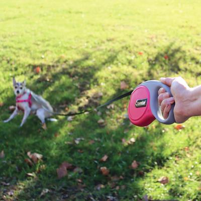 Show full view: Power Walker Retractable Dog Leash, Pink, 16-ft long, 1/2-in wide, Large slide 2 of 10