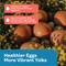Show in main carousel: Hippy Chick Omega 3 Booster Egg & Feather Support Supplement for Chicken & Laying Hens, 1.25-lb Bag slide 5 of 8
