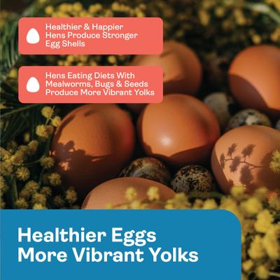 Show full view: Hippy Chick Omega 3 Booster Egg & Feather Support Supplement for Chicken & Laying Hens, 1.25-lb Bag slide 5 of 8