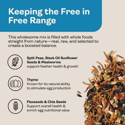 Show full view: Hippy Chick Omega 3 Booster Egg & Feather Support Supplement for Chicken & Laying Hens, 1.25-lb Bag slide 6 of 8