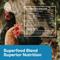 Show in main carousel: Hippy Chick Omega 3 Booster Egg & Feather Support Supplement for Chicken & Laying Hens, 1.25-lb Bag slide 3 of 8
