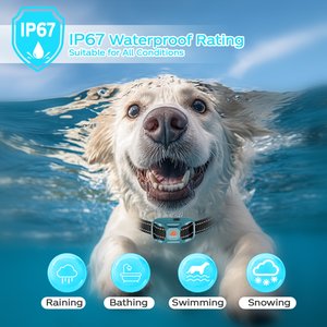 GroovyPets 3300-ft Remote Dog Training Collar with Ultrasonic Bark Deterrent