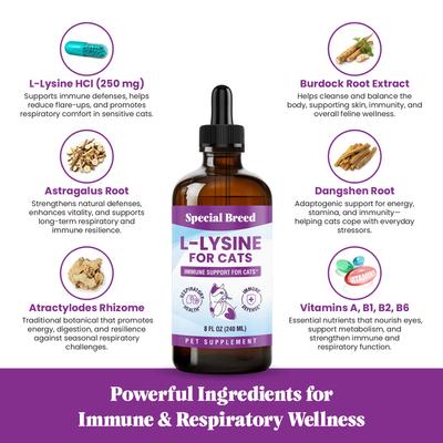 Show full view: Special Breed L-Lysine Immune Support Chicken Flavored Liquid Cat Supplement, 8-fl oz bottle slide 4 of 9