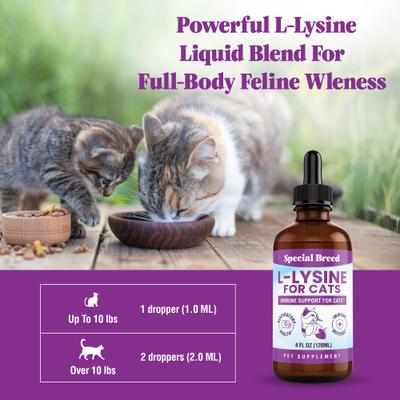 Show full view: Special Breed L-Lysine Immune Support Chicken Flavored Liquid Cat Supplement, 4-fl oz bottle slide 8 of 9
