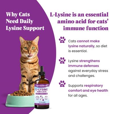 Show full view: Special Breed L-Lysine Immune Support Chicken Flavored Liquid Cat Supplement, 8-fl oz bottle slide 3 of 9