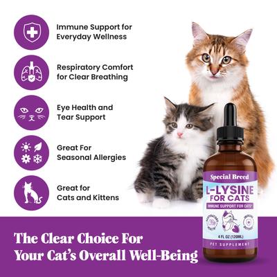 Show full view: Special Breed L-Lysine Immune Support Chicken Flavored Liquid Cat Supplement, 4-fl oz bottle slide 7 of 9