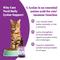 Show in main carousel: Special Breed L-Lysine Immune Support Chicken Flavored Liquid Cat Supplement, 4-fl oz bottle slide 3 of 9