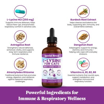 Show full view: Special Breed L-Lysine Immune Support Chicken Flavored Liquid Cat Supplement, 4-fl oz bottle slide 4 of 9
