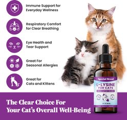 Special Breed L-Lysine Immune Support Chicken Flavored Liquid Cat Supplement, 2-fl oz bottle slide 2 of 8