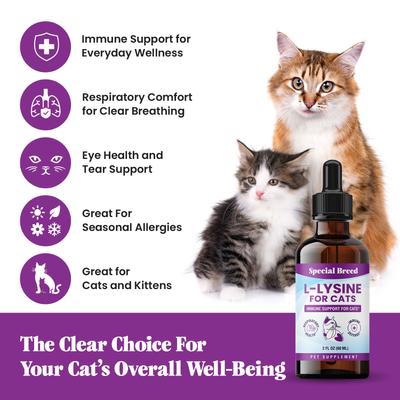 Show full view: Special Breed L-Lysine Immune Support Chicken Flavored Liquid Cat Supplement, 2-fl oz bottle slide 7 of 9