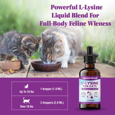 Show full view: Special Breed L-Lysine Immune Support Chicken Flavored Liquid Cat Supplement, 2-fl oz bottle slide 8 of 9