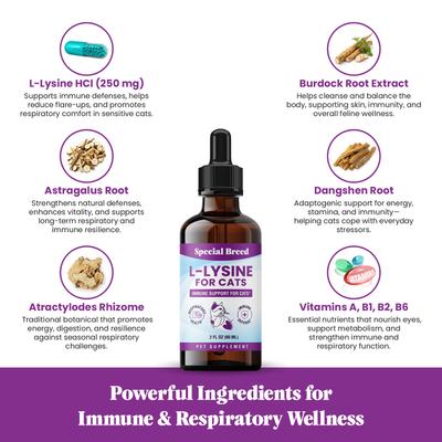 Special Breed L-Lysine Immune Support Chicken Flavored Liquid Cat Supplement